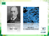 沪教版生物八下4.3.1《微生物（三）病毒》课件