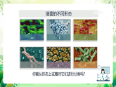 沪教版生物八下4.3.1《微生物（二）细菌》课件