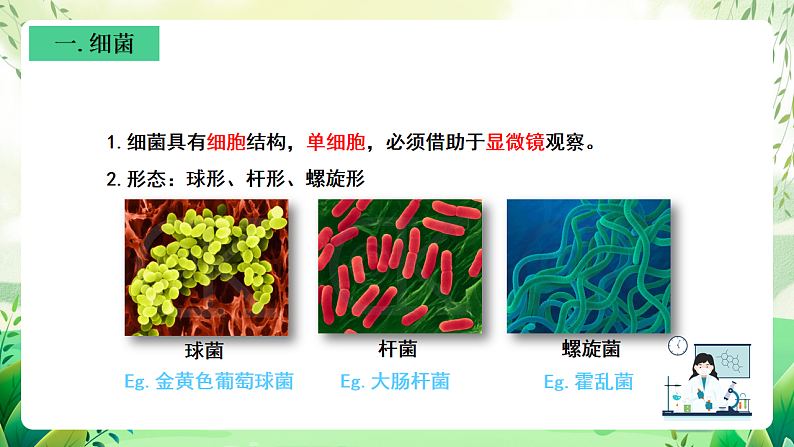 沪教版生物八下4.3.1《微生物（二）细菌》课件第6页