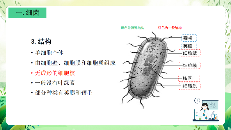 沪教版生物八下4.3.1《微生物（二）细菌》课件第7页