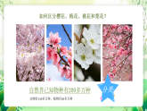 沪教版生物八下4.4《生物的分类》课件