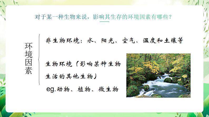 沪教版生物八下5.1.1《生物与环境》课件第3页