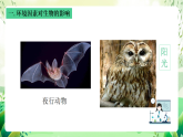 沪教版生物八下5.1.1《生物与环境》课件