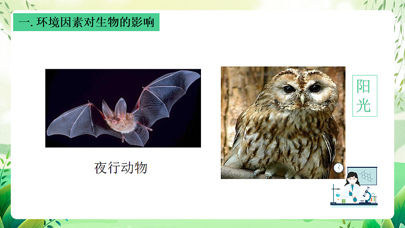 沪教版生物八下5.1.1《生物与环境》课件第5页
