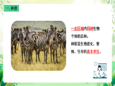沪教版生物八下5.1.2《种群的数量变化规律及其应用》课件