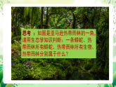 沪教版生物八下5.2.1《生态系统的结构与功能》课件