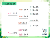 沪教版生物八下5.2.2《多种多样的生态系统》课件