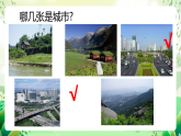 沪教版生物八下6.1《城市生态与城市环境保护》课件