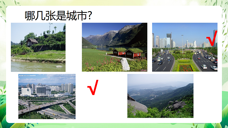 沪教版生物八下6.1《城市生态与城市环境保护》课件第2页