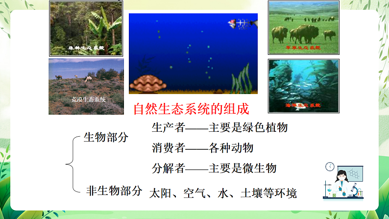 沪教版生物八下6.1《城市生态与城市环境保护》课件第3页