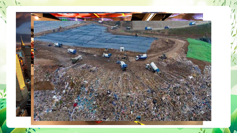 沪教版生物八下6.1《城市生态与城市环境保护》课件第4页