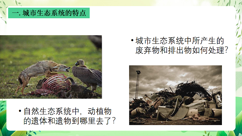 沪教版生物八下6.1《城市生态与城市环境保护》课件第6页