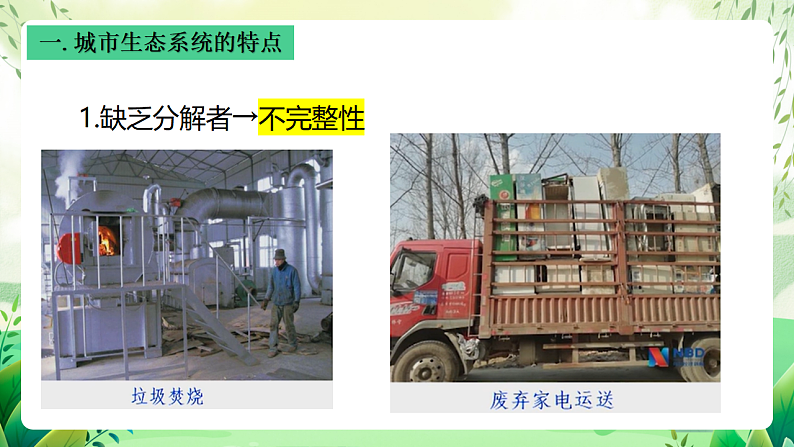 沪教版生物八下6.1《城市生态与城市环境保护》课件第7页