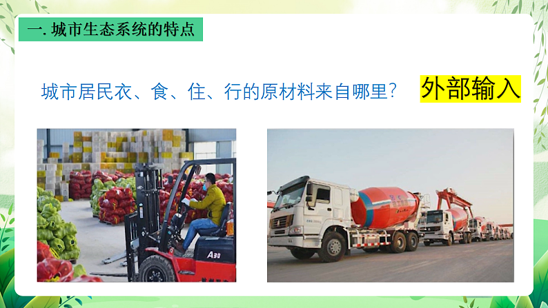 沪教版生物八下6.1《城市生态与城市环境保护》课件第8页