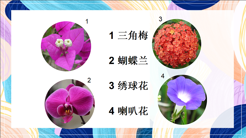 桂美版美术一下 3《五彩缤纷的花朵》课件第5页