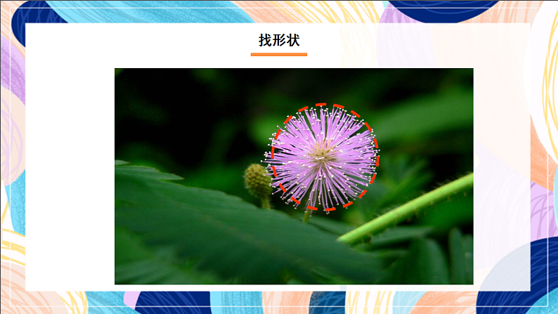 桂美版美术一下 3《五彩缤纷的花朵》课件第6页