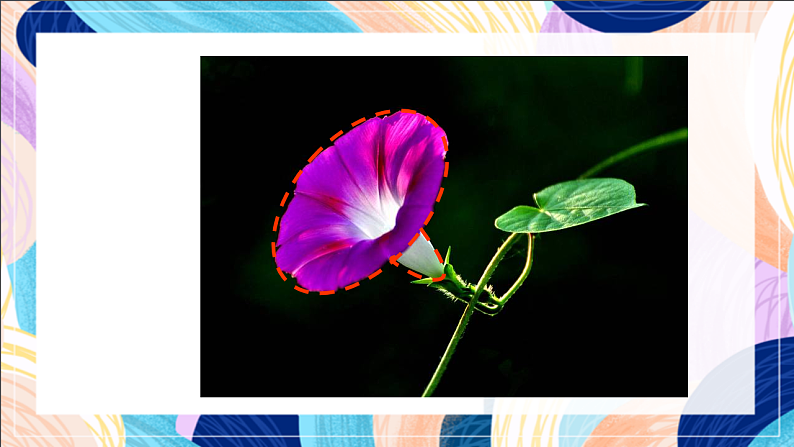 桂美版美术一下 3《五彩缤纷的花朵》课件第8页