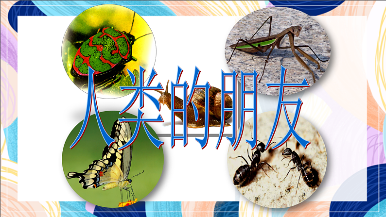 桂美版美术一下 《我和动物交朋友》课件第5页