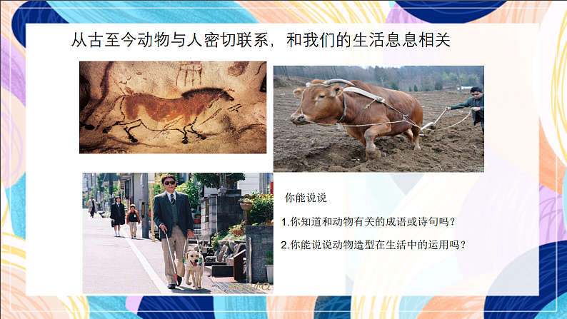桂美版美术一下 《我和动物交朋友》课件第6页