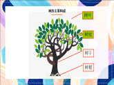 桂美版美术一下 10《绿色新世界》课件