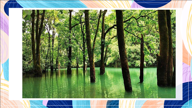 桂美版美术一下 10《绿色新世界》课件第8页