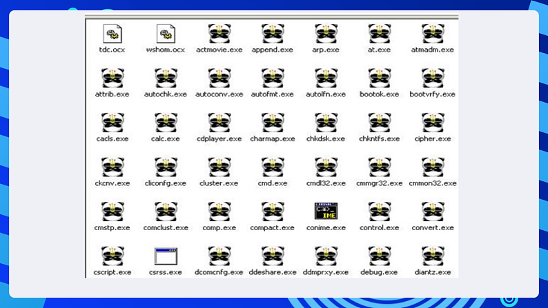 浙摄影版信息技术五下 第4课《计算机安全--病毒防治及时做》课件第7页