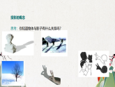 29.1 投影 人教版九年级数学下册教学课件