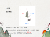 29.1 投影 人教版九年级数学下册教学课件