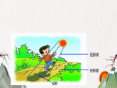 29.1 投影 人教版九年级数学下册教学课件