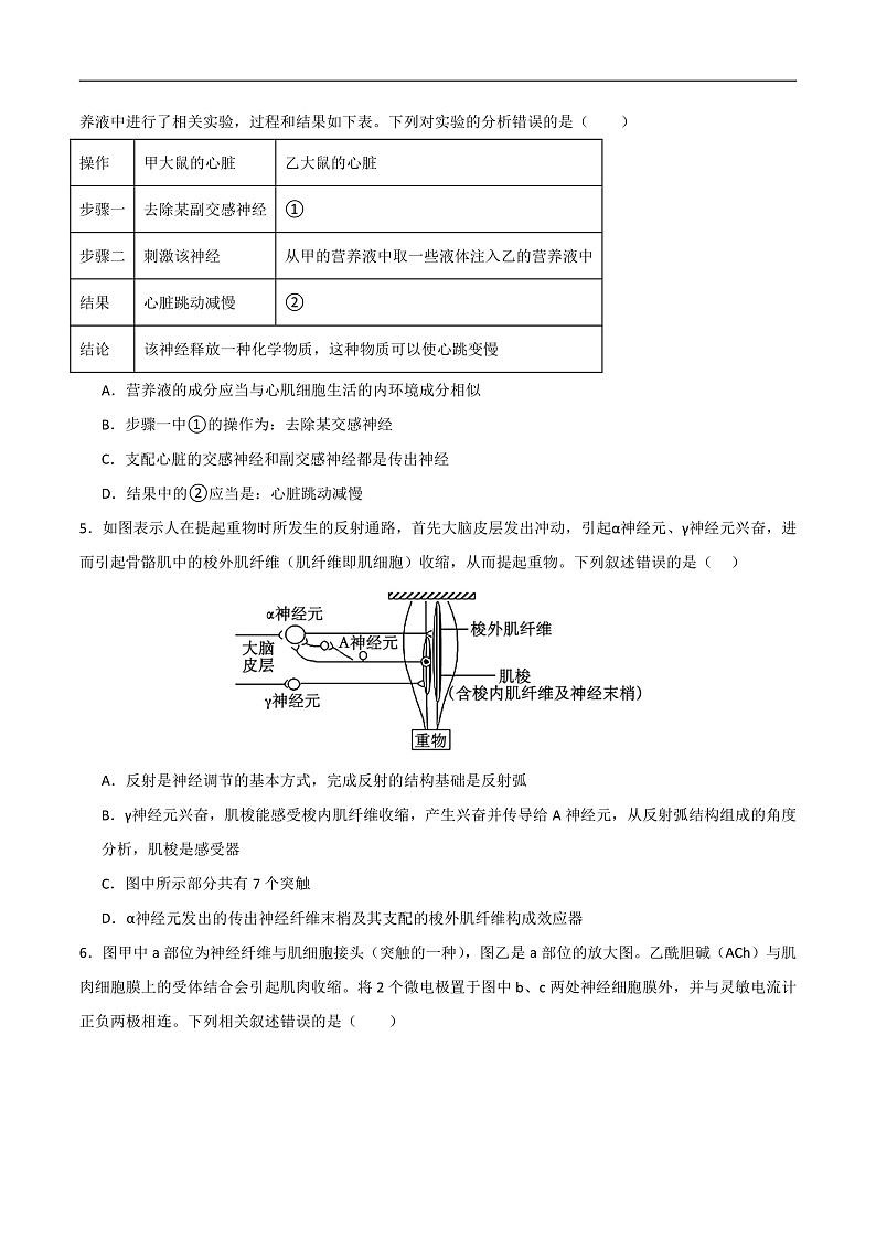 高二生物开学摸底考（人教版2019）02（考试版）第2页