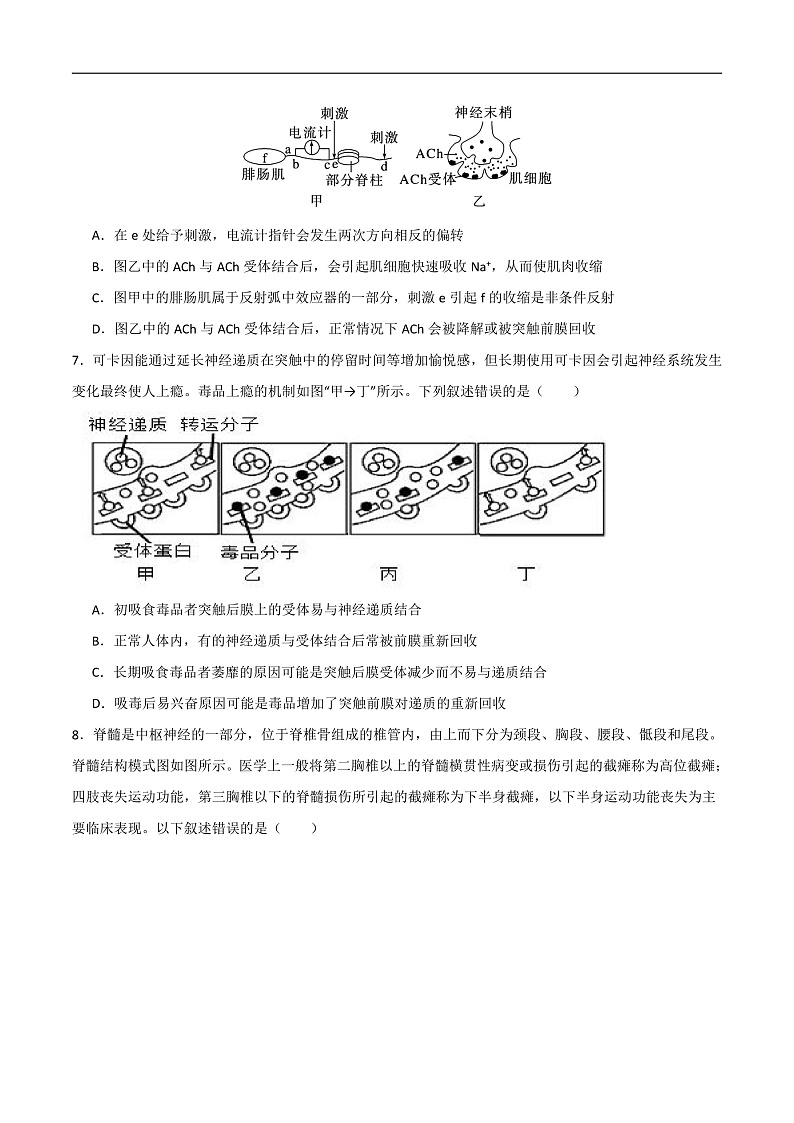 高二生物开学摸底考（人教版2019）02（考试版）第3页