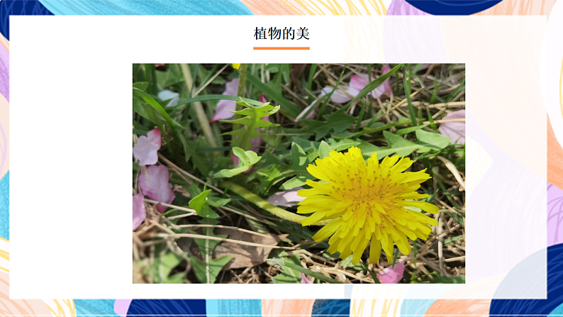 桂美版美术二下 第3课《我们的校园》课件第6页