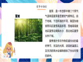 桂美版美术二下 第14课《夏日里》课件