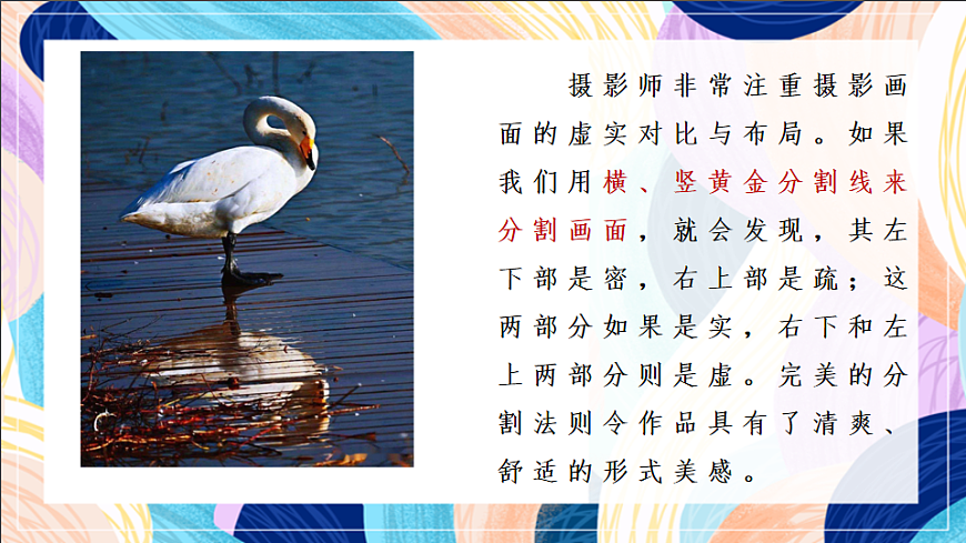16689682第4页
