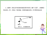 西师大版音乐四下 2《音符》课件