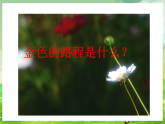 西师大版音乐四下 5《金色的路程》课件