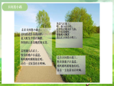 西师大版音乐四下 选唱歌曲《乡间的小路》课件