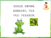 西师大版音乐二下 2《小青蛙合唱》课件