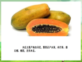 西师大版音乐二下 选唱歌曲《木瓜恰恰恰》课件