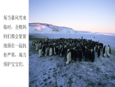 人音版小學(xué)音樂(lè)四年級(jí)下冊(cè) 第6課《搖籃曲（楊存德曲）》課件