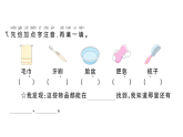 小學(xué)語文新部編版一年級下冊第七單元語文園地七課堂作業(yè)課件2025春