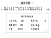小學(xué)語文新部編版一年級(jí)下冊(cè)第七單元綜合訓(xùn)練課件2025春