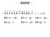 小学语文新部编版一年级下册第八单元综合训练课件2025春