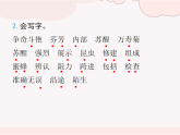部編版2025三年級語文下冊第四單元知識小結(jié)(復(fù)習(xí)課件) 課件