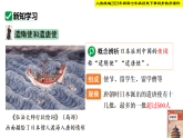 人教统编2024年版七年级历史下册第6课  隋唐时期的中外文化交流【教学课件】
