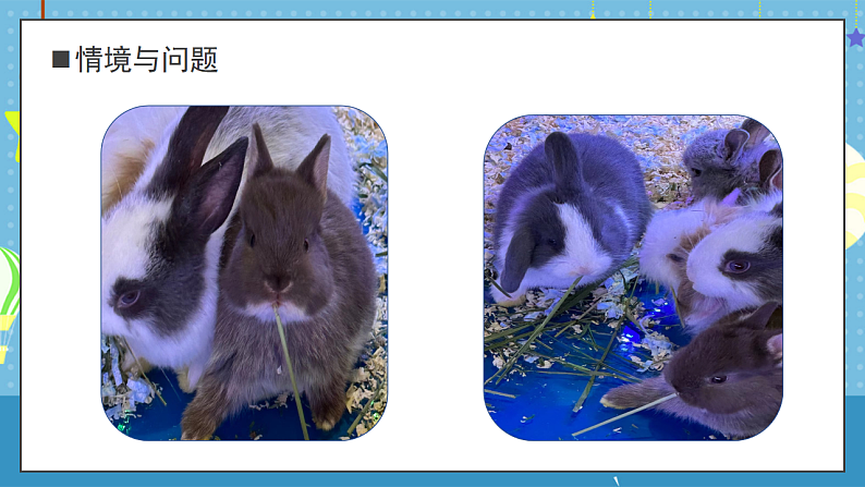 大象版小学科学一年级上册     1.观察兔子   课件第5页