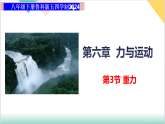 6.3 重力（同步课件）-2024-2025学年八年级物理下册同步课堂（鲁教版五四学制2024）