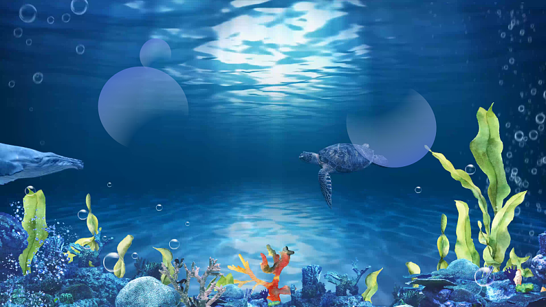 23.海底世界 第一课时第2页