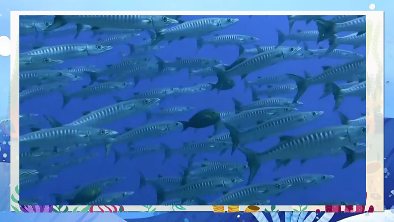 23.海底世界 第二课时第8页