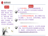 2025年中考初中历史一轮复习 专题06  辽宋夏金元时期：民族关系发展和社会变化 课件